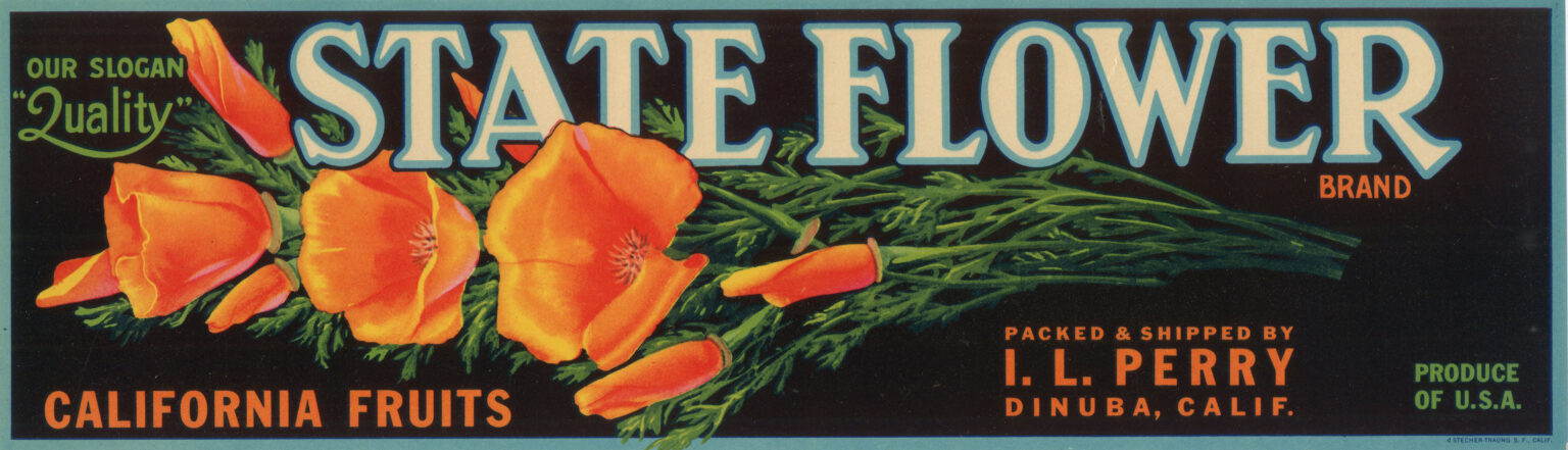 State Flower State Flower